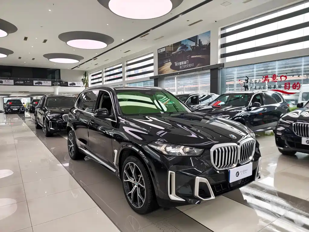 BMW X5 — миниатюра 3