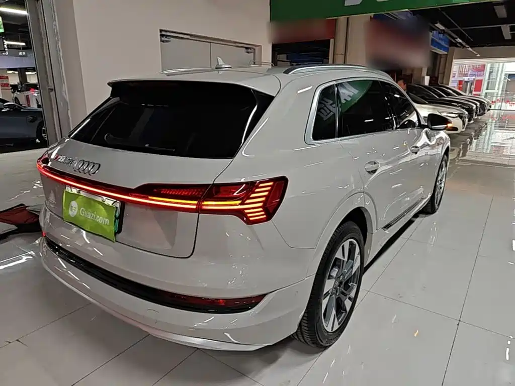 Audi e-tron (Import) — миниатюра 7