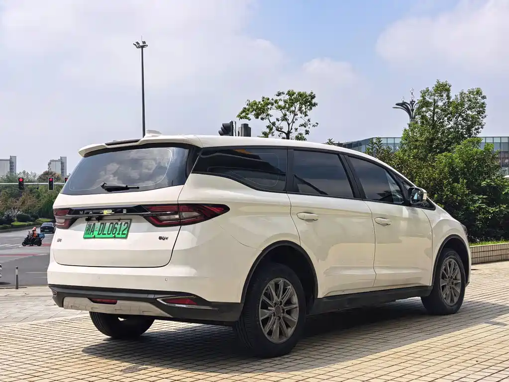 Rayleigh Maple 80v — миниатюра 7