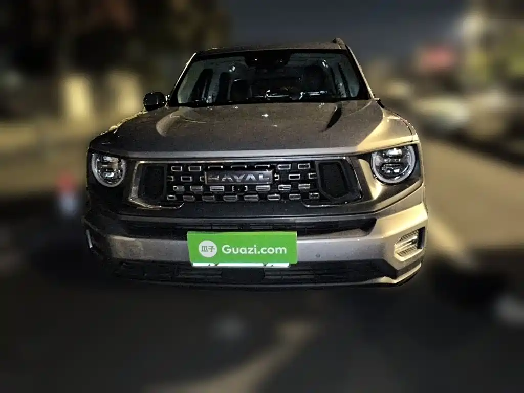 Haval Big Dog PLUS — миниатюра 2