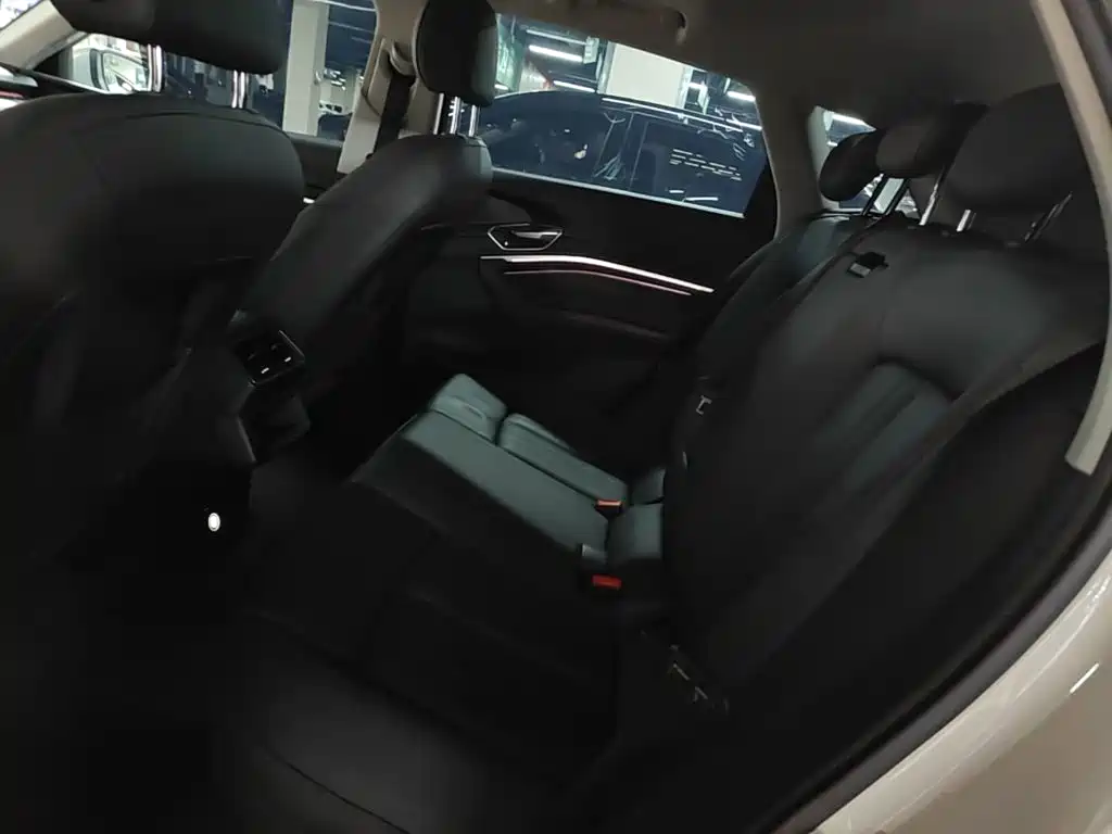 Audi e-tron (Import) — миниатюра 17