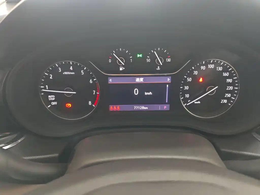 Buick Regal — миниатюра 12