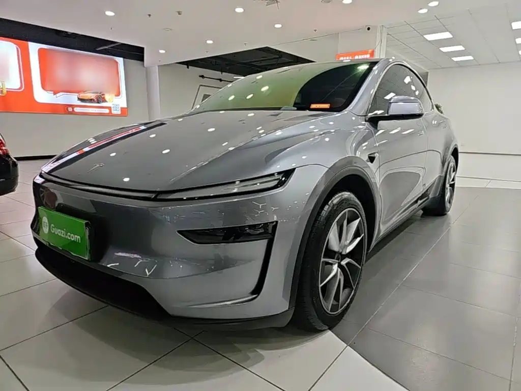 Tesla Model Y — миниатюра 2