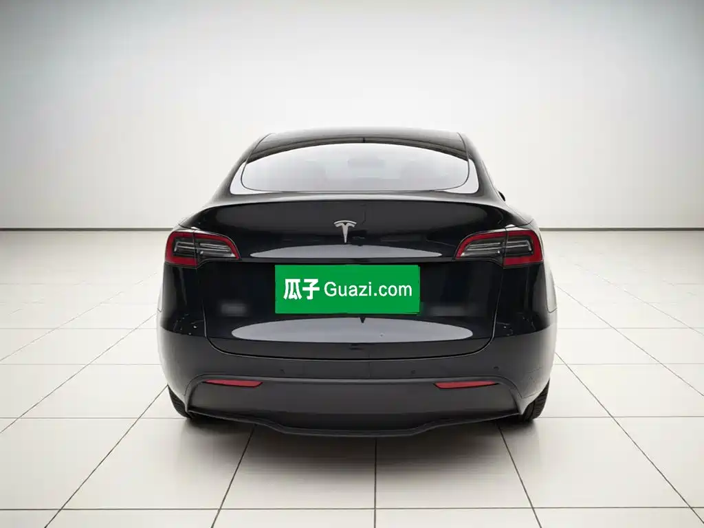 Tesla Model Y — миниатюра 5