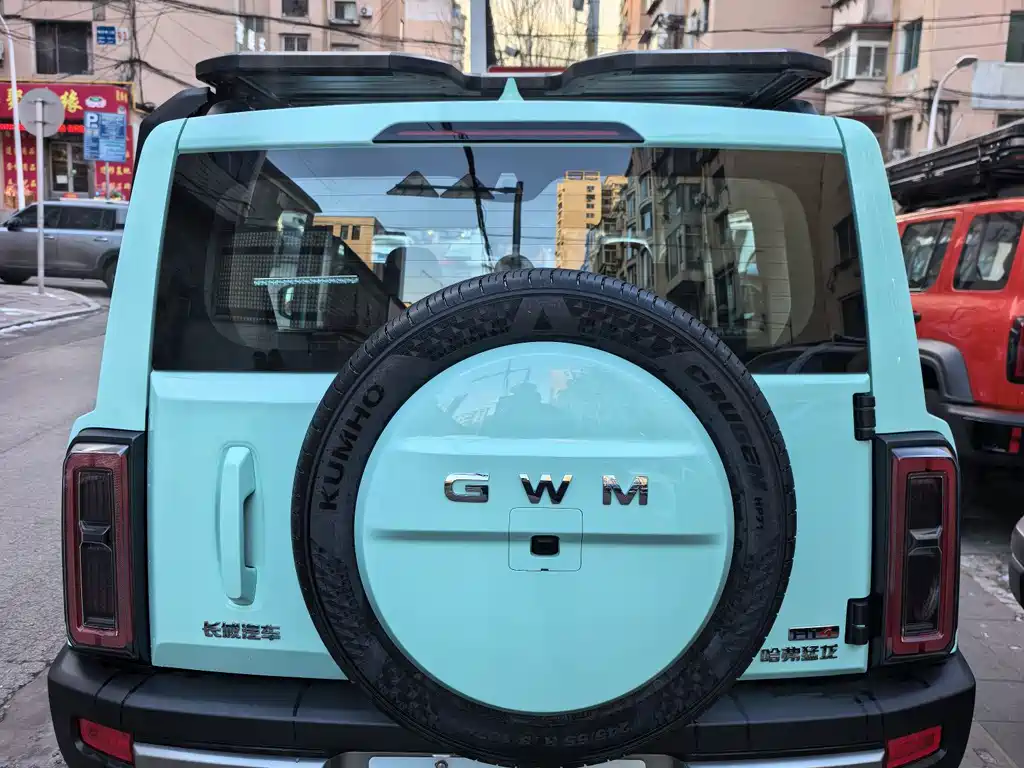 HAVAL RAPTORS NEW ENERGY