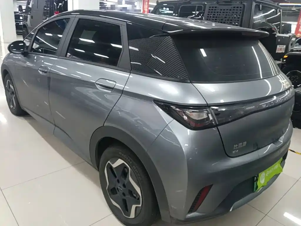 BYD Dolphin — миниатюра 5