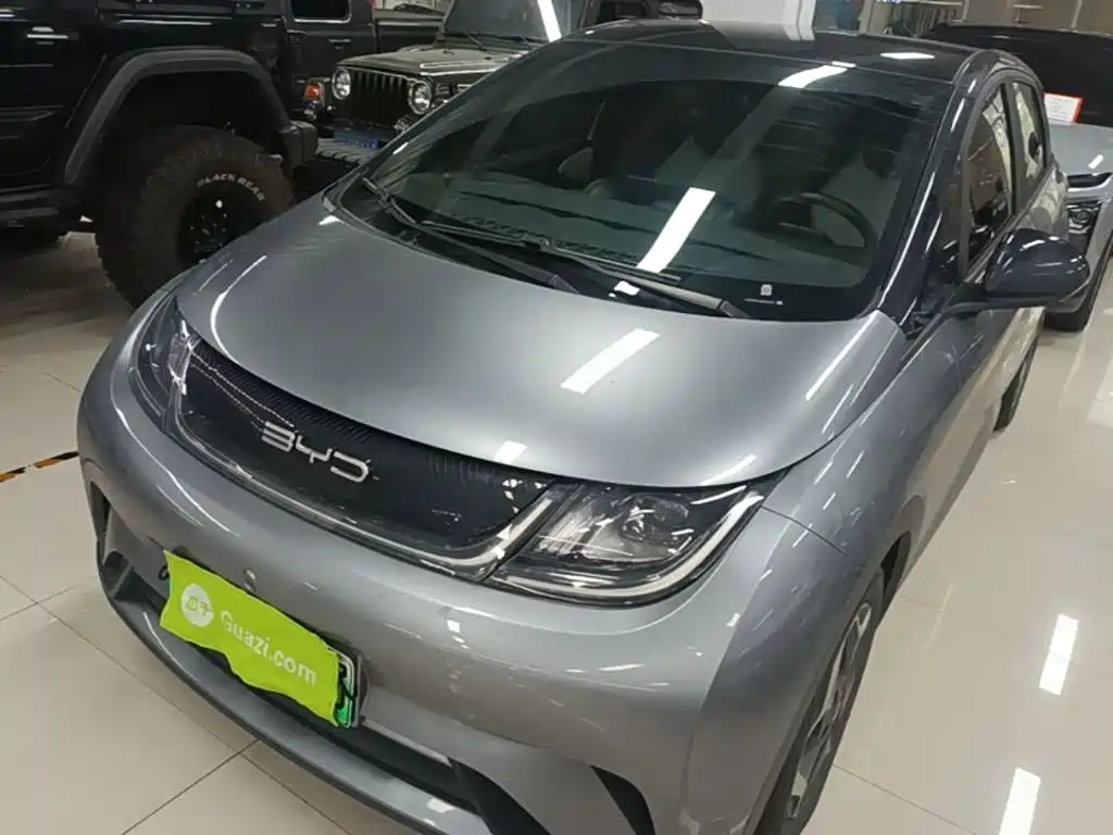 BYD Dolphin — миниатюра 2