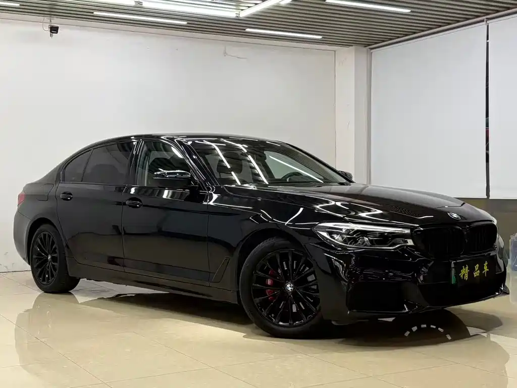 BMW 5 Series New Energy — миниатюра 3