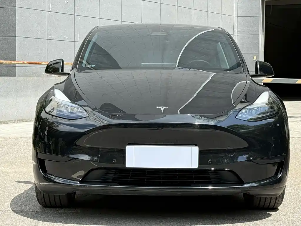 Tesla Model Y — миниатюра 2