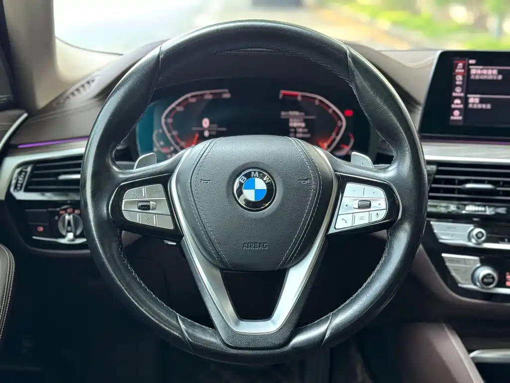 BMW 5 Series 5 2020 530Li Premium Luxury
