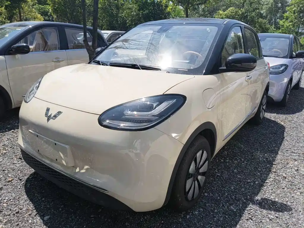 Wuling Binguo 2025 333km Enjoy