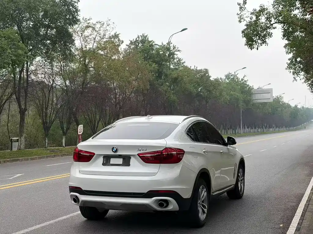 BMW X6 — миниатюра 9