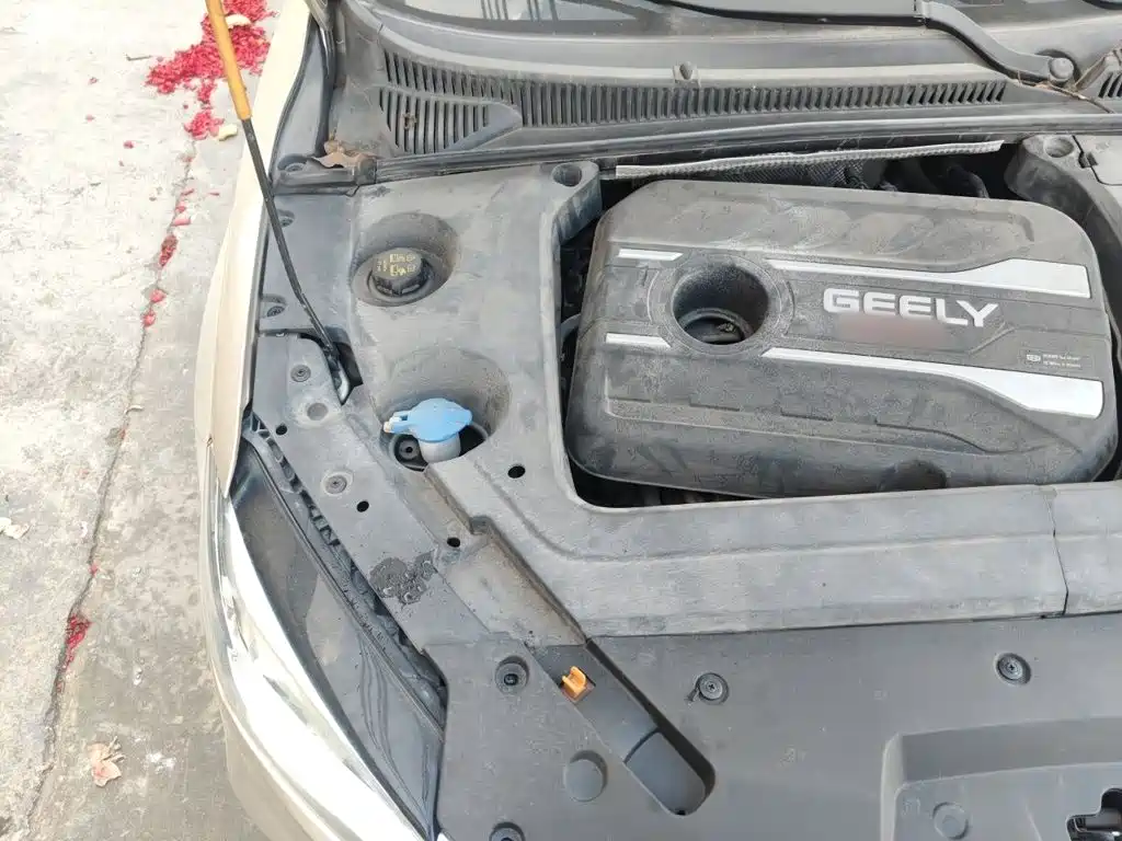 Geely Binrui — миниатюра 20
