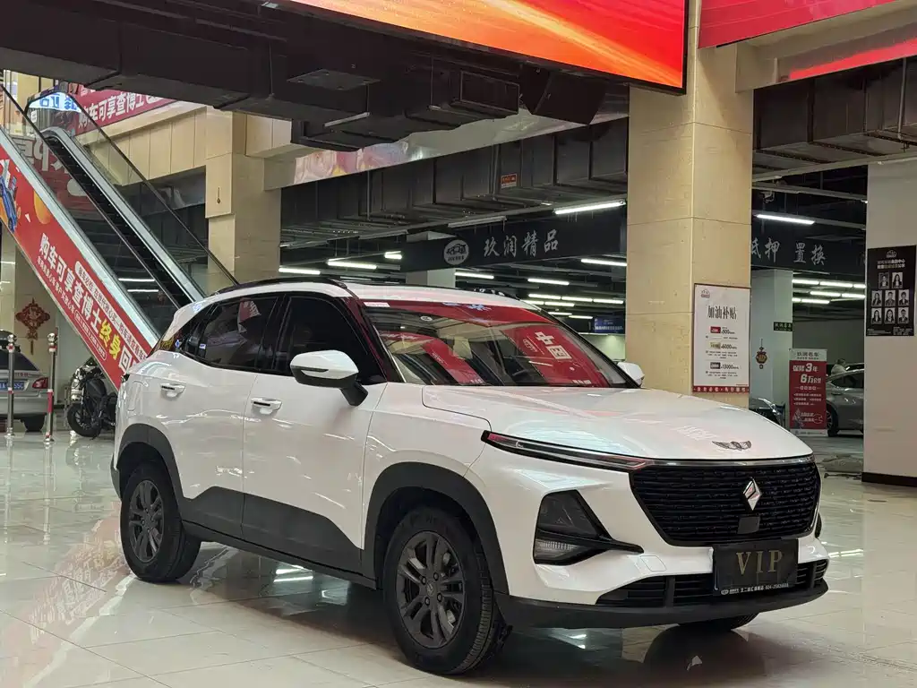 BAOJUN RS 3