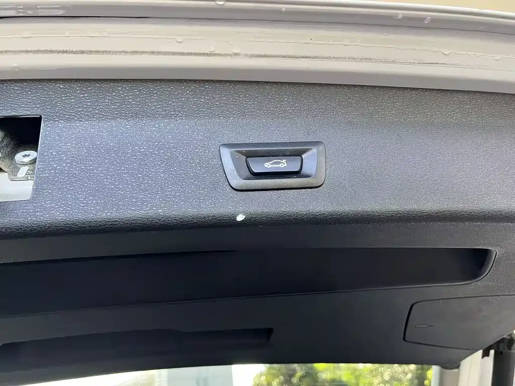 BMW X1 2019 xDrive25Le Luxury
