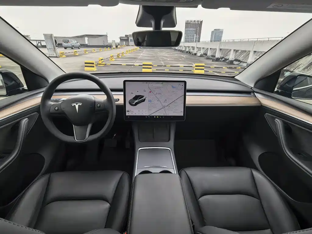 Tesla Model Y — миниатюра 9
