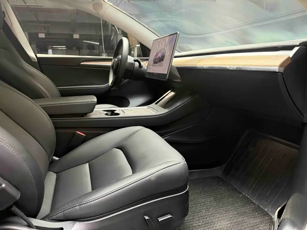 Tesla Model Y — миниатюра 4
