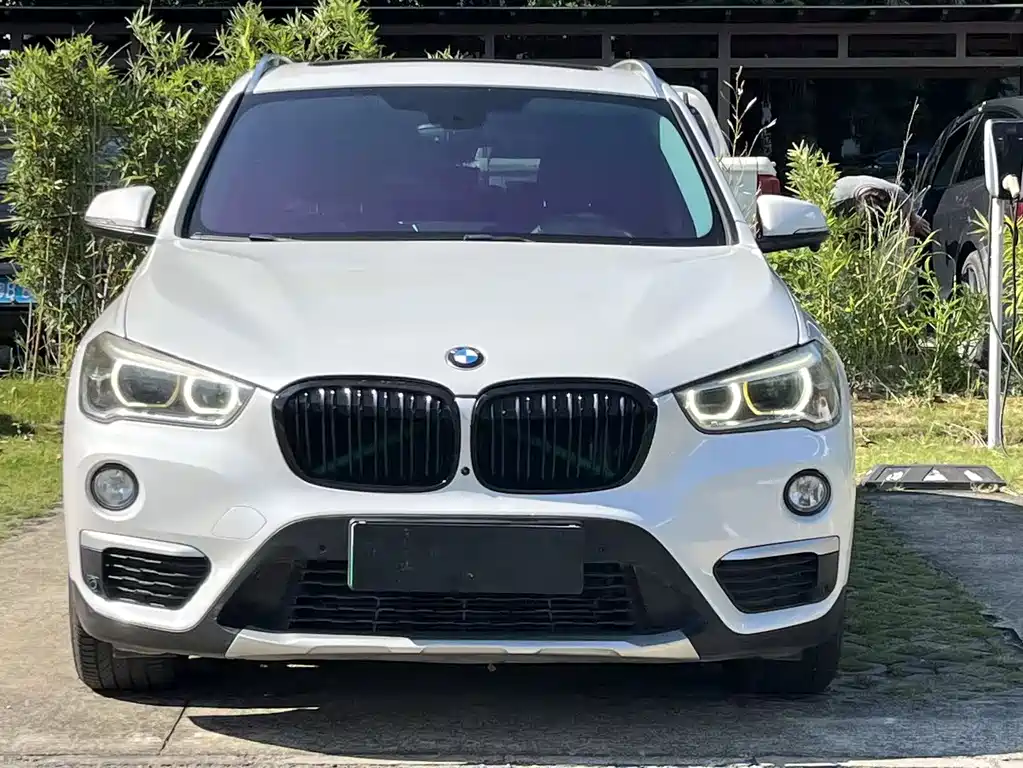 BMW X1 2019 xDrive25Le Luxury