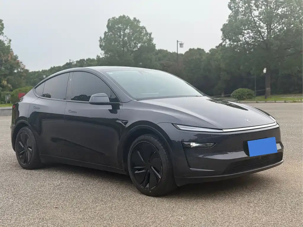 Tesla Model Y — миниатюра 2