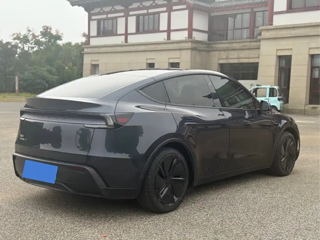 Tesla Model Y — миниатюра 6