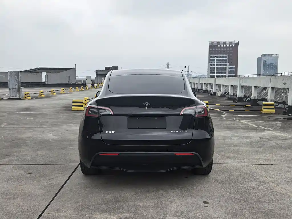 Tesla Model Y — миниатюра 6