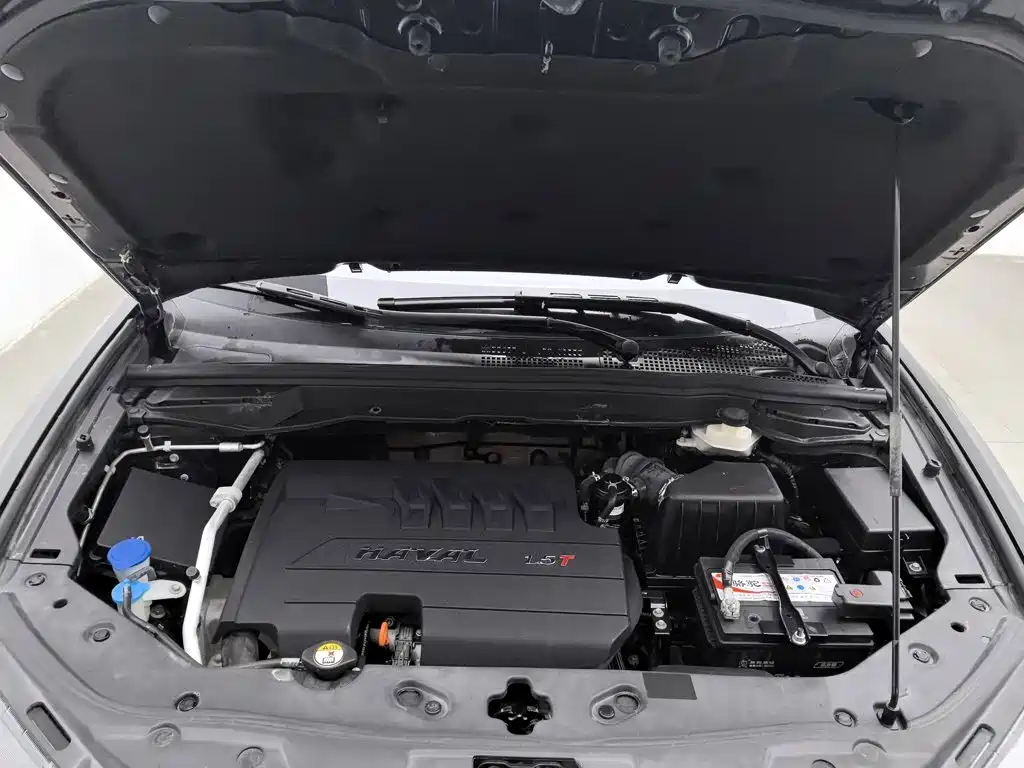 Haval H6 Coupe — миниатюра 6