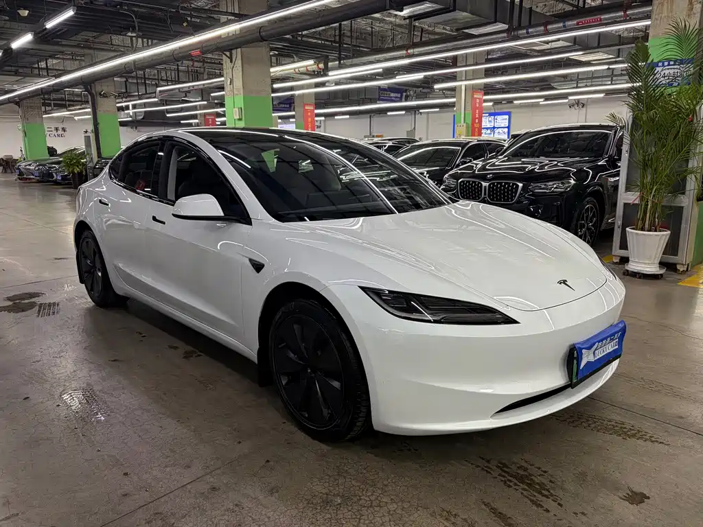 Tesla Model 3 — миниатюра 2
