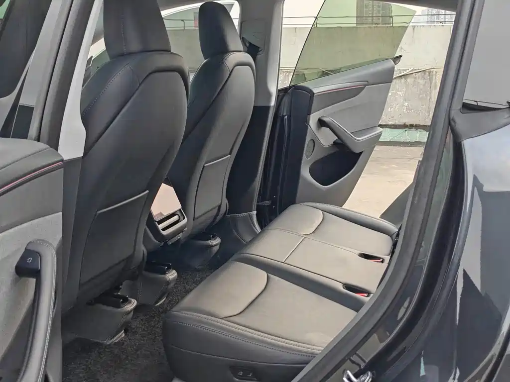Tesla Model Y — миниатюра 9