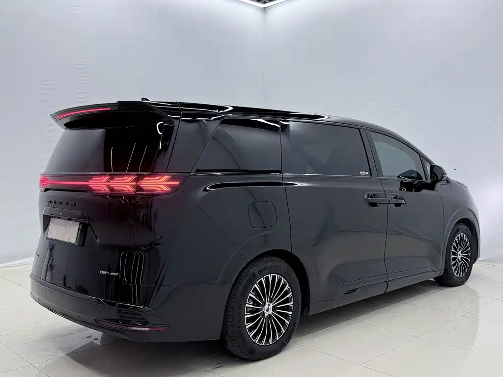 Denza Denza D9 — миниатюра 14