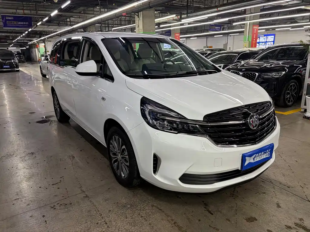 Buick GL8 — миниатюра 2