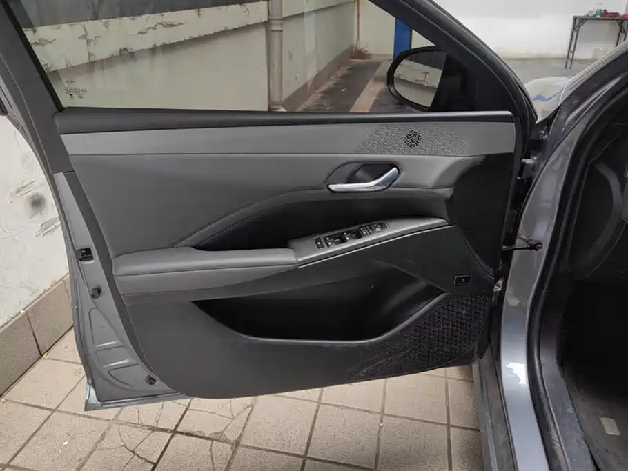 BYD Qin Plus PLUS 2025 DM-i Smart Drive 55KM Lead