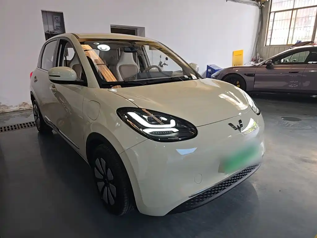 Wuling Binguo 2025 333km