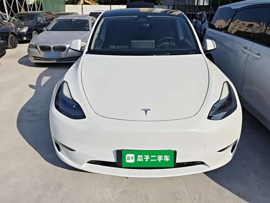 Tesla Model Y — миниатюра 3