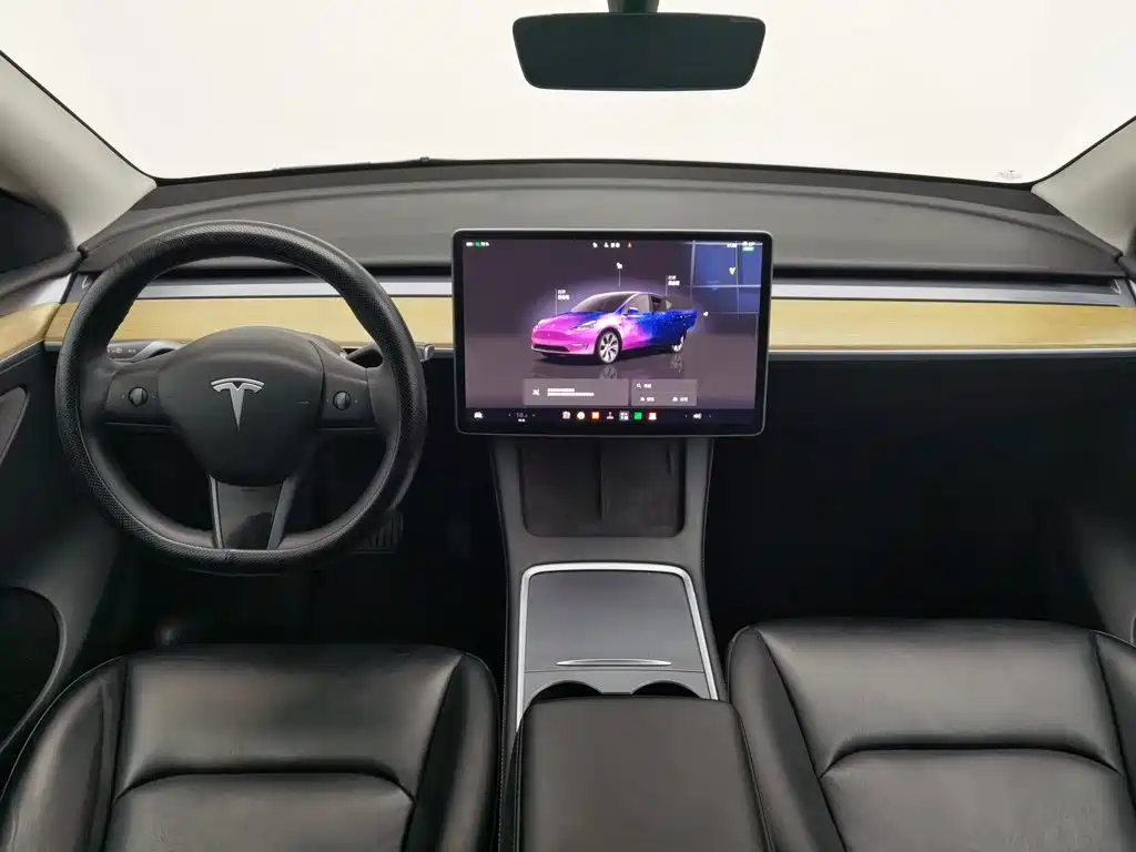 Tesla Model Y — миниатюра 5