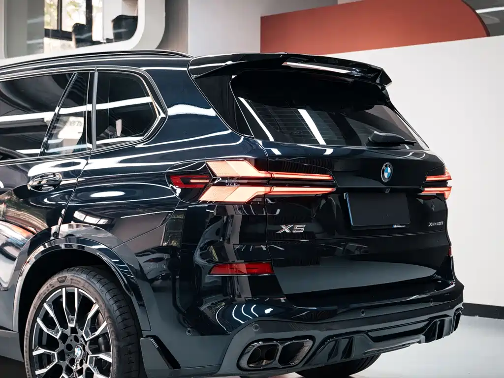BMW X5 — миниатюра 8