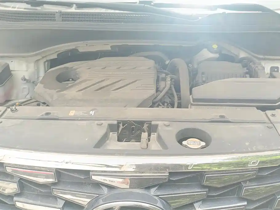 Hyundai Custo 2021 380TGDi Flagship TOP Premium