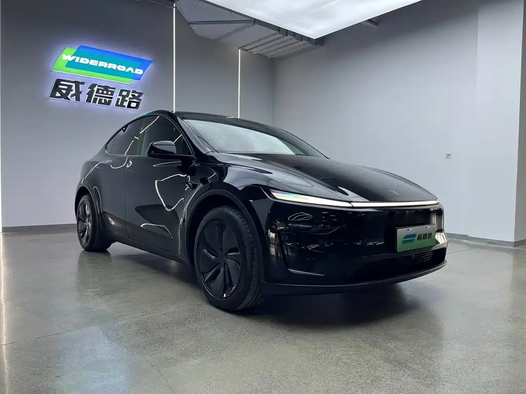 Tesla Model Y — миниатюра 28