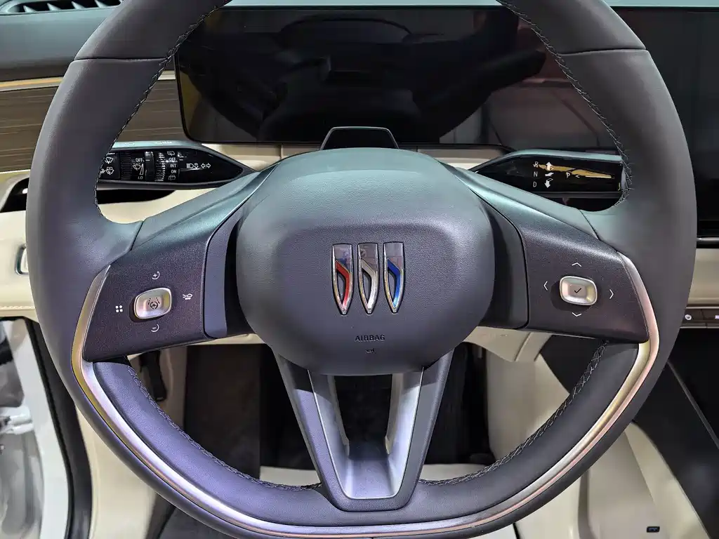 Buick Electra Encasa — миниатюра 11