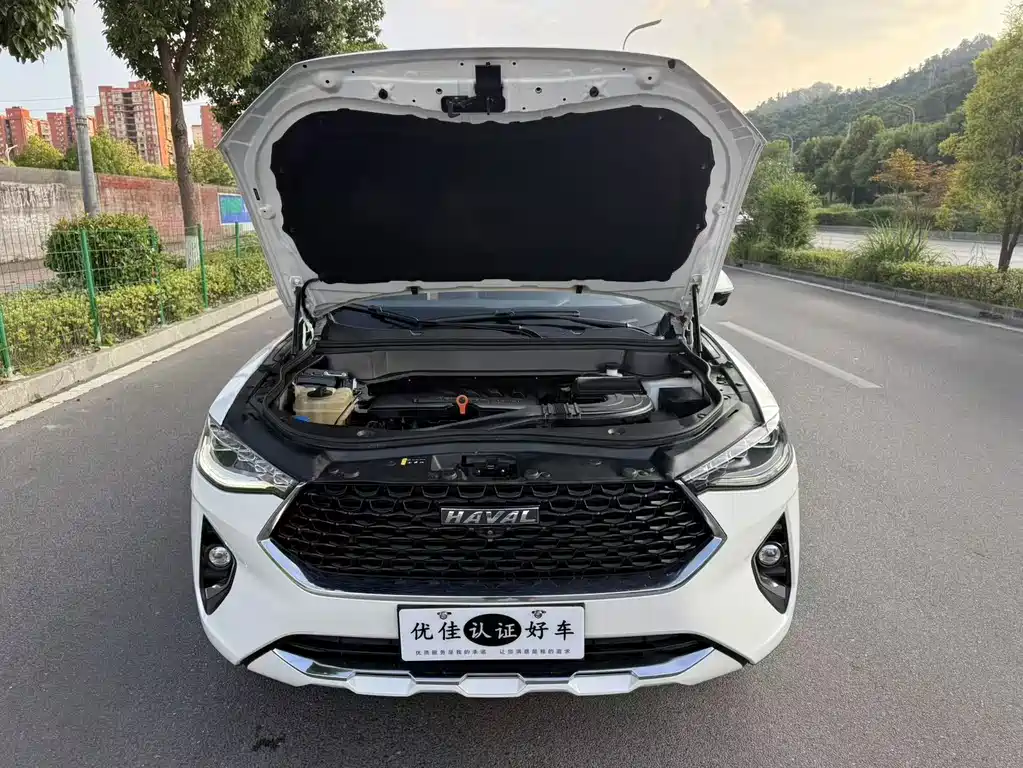 Haval F7x — миниатюра 8