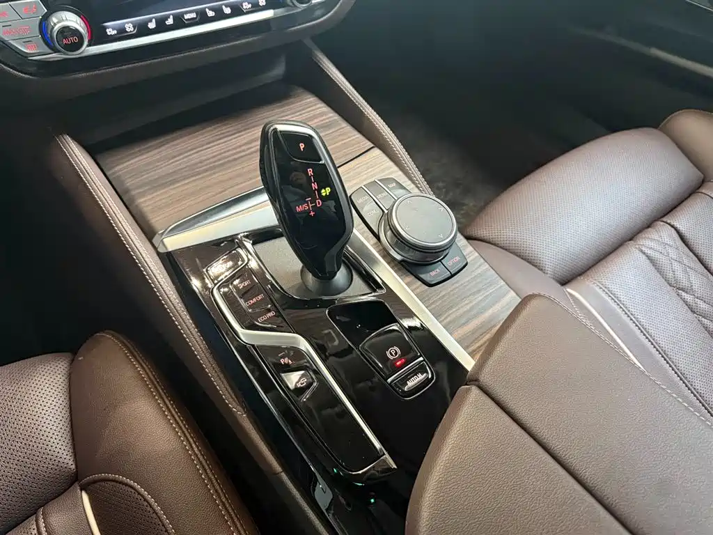 BMW 5 Series 5 2021 530Li Premium Luxury