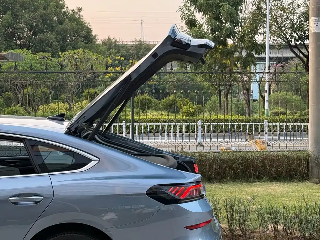 Volkswagen Lamando — миниатюра 3