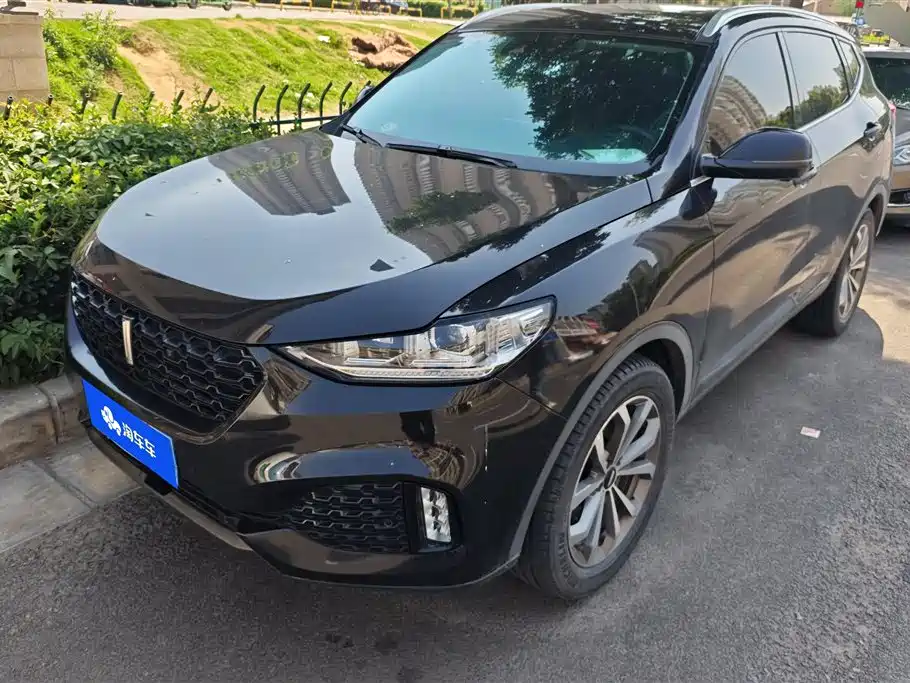 Wey Wey VV6 2019