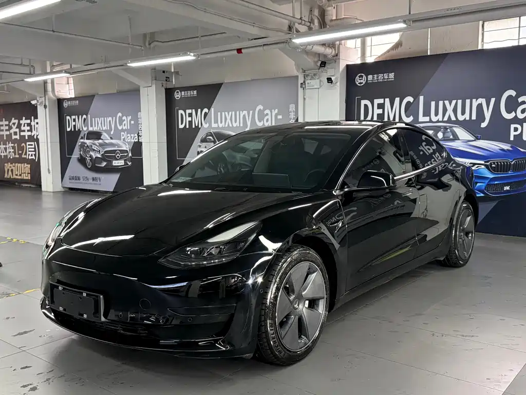 Tesla Model 3 2021 Standard Range RWD Upgrade Edition 3D6