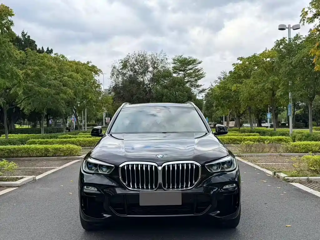 BMW X5 (Import) — миниатюра 2