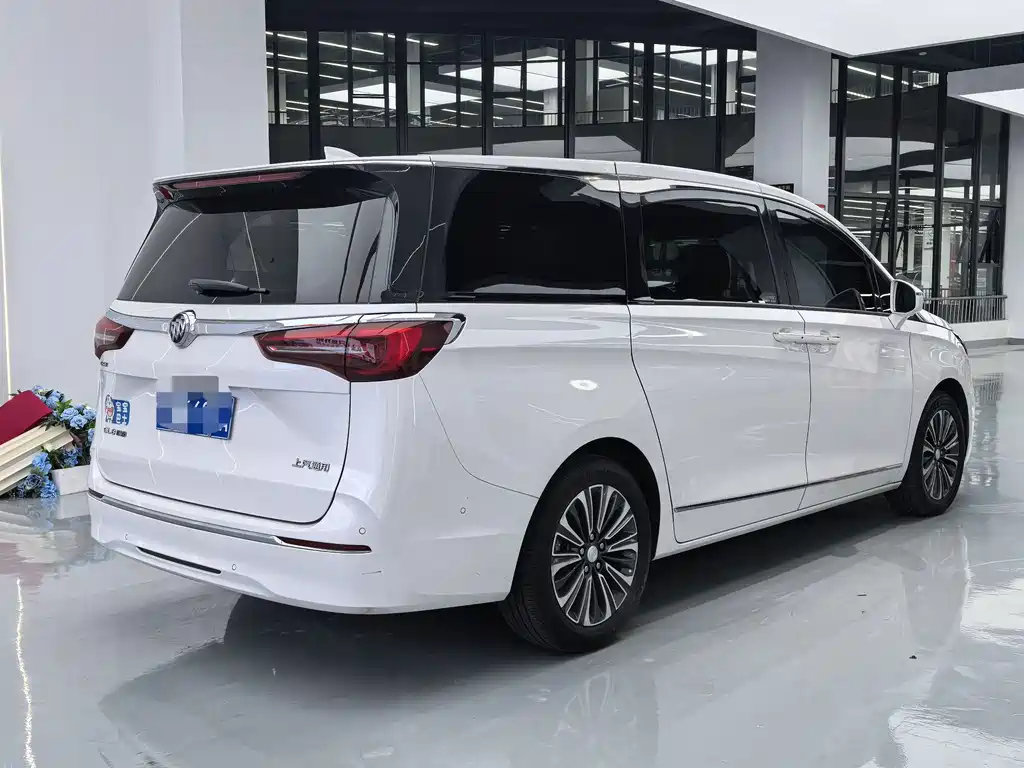 Buick GL8 — миниатюра 9