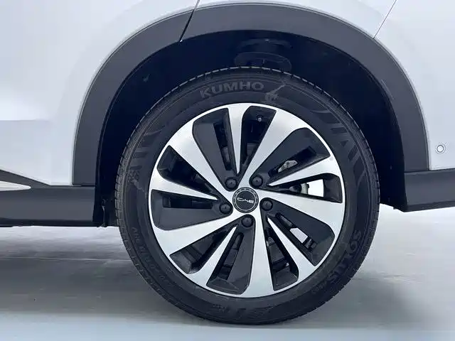 BYD SONGJIANG NEW ENERGY