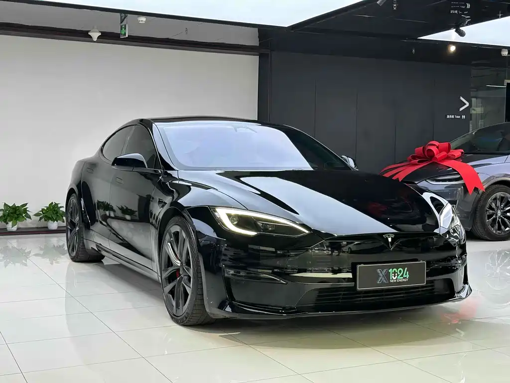 Tesla Model S — миниатюра 3