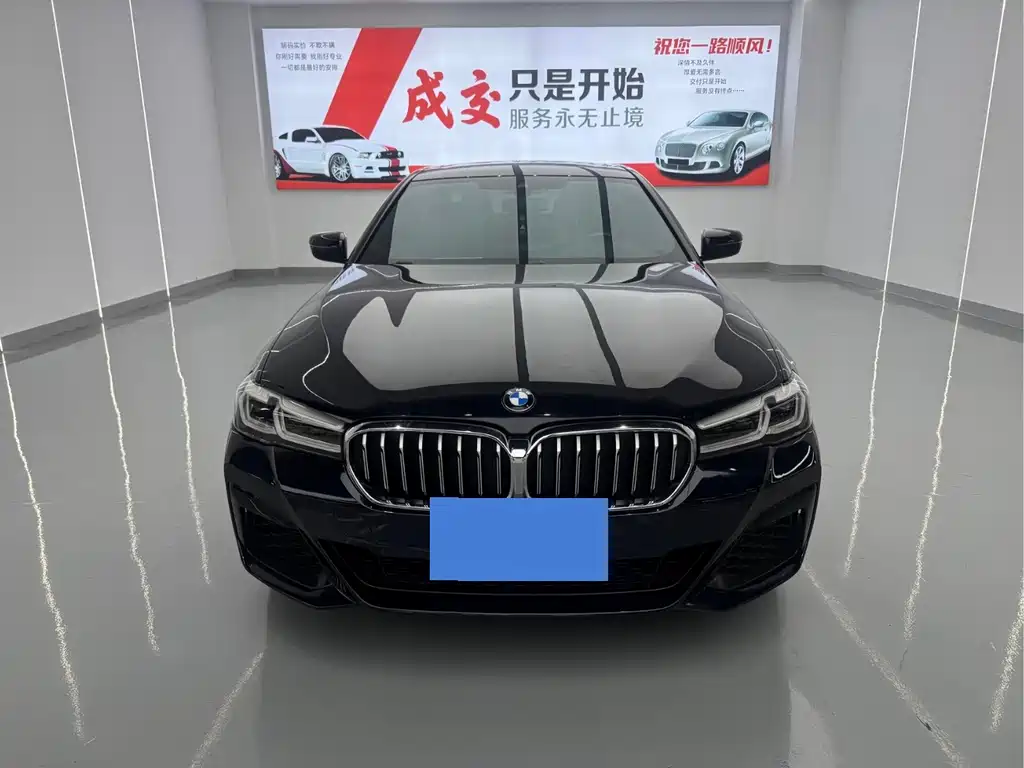 BMW 5 Series — миниатюра 2
