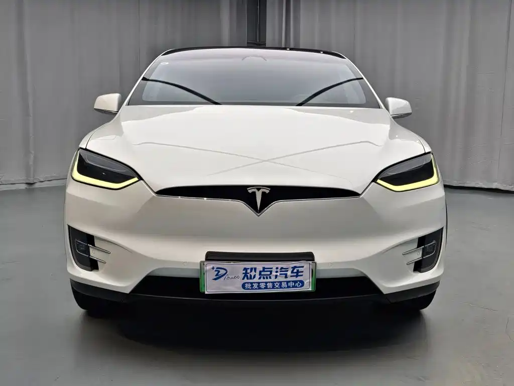 Tesla Model X — миниатюра 2
