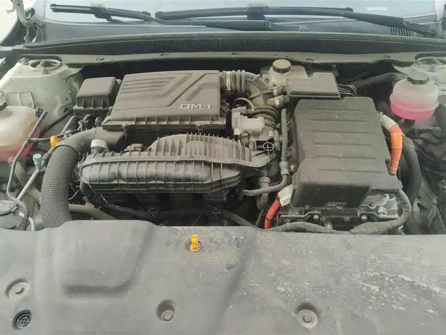 BYD Qin Plus PLUS 2024 DM-i 55KM Lead